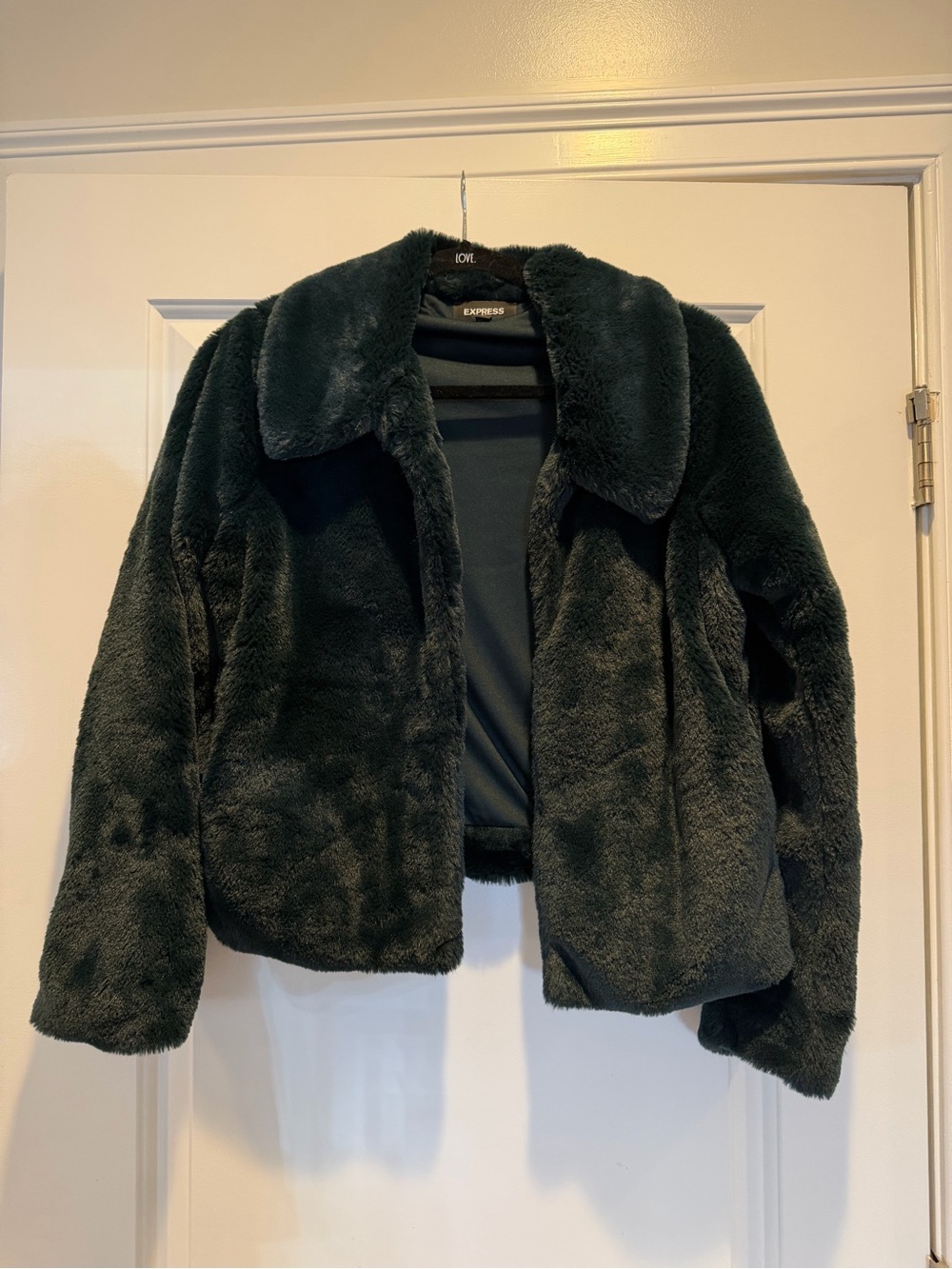 Express Women's Forest Green Teddy Faux Fur Jacket